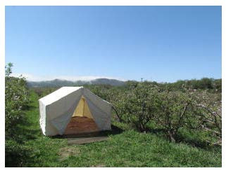 apple_orchard_tent